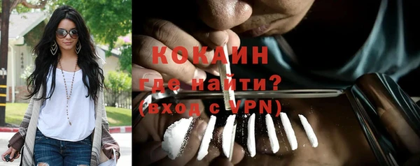 МДПВ Дмитриев