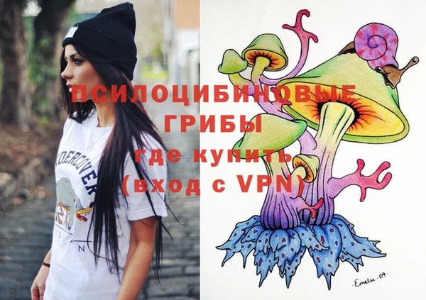 молекула духа Дмитров