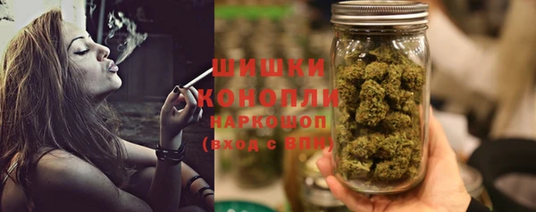 молекула духа Дмитров