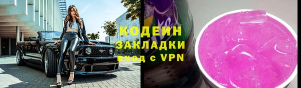 МДПВ Дмитриев
