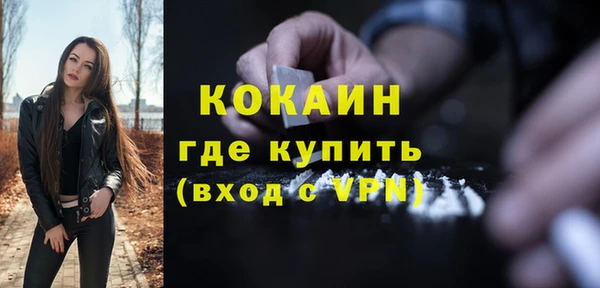 МДПВ Дмитриев