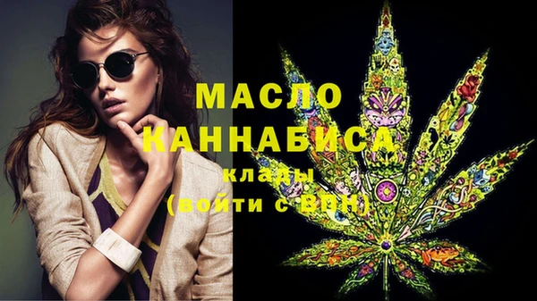 МДПВ Дмитриев
