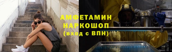 МДПВ Дмитриев
