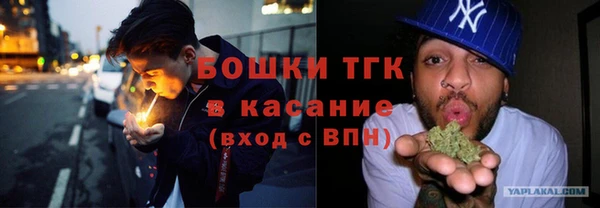 МДПВ Дмитриев