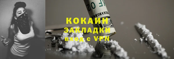 МДПВ Дмитриев