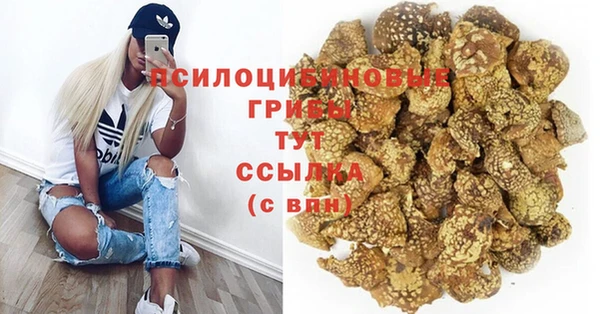 spice Зеленодольск