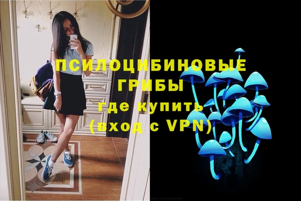 МДПВ Дмитриев