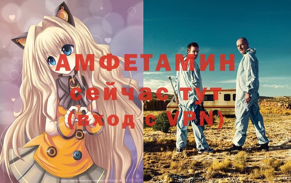 молекула духа Дмитров