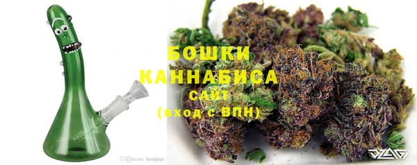 МДПВ Дмитриев