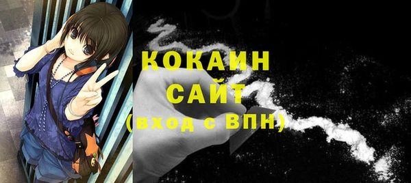 МДПВ Дмитриев