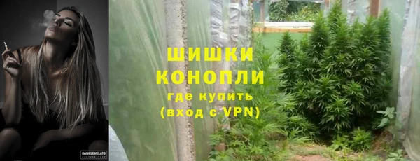 молекула духа Дмитров