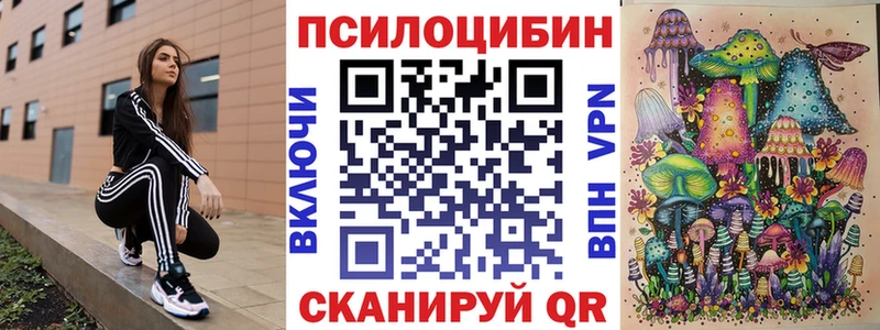 Псилоцибиновые грибы Magic Shrooms  Жердевка 